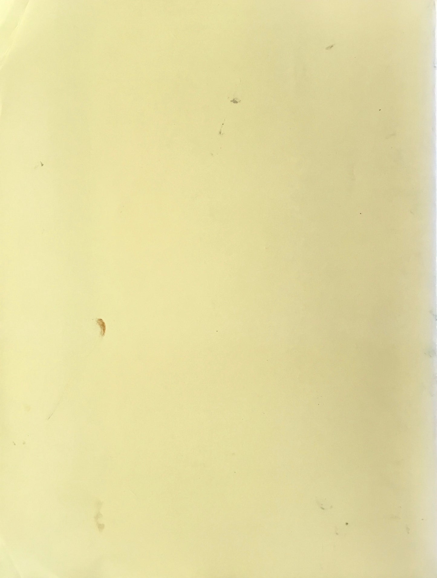 ポエムの色彩 ベルナール・カトラン展