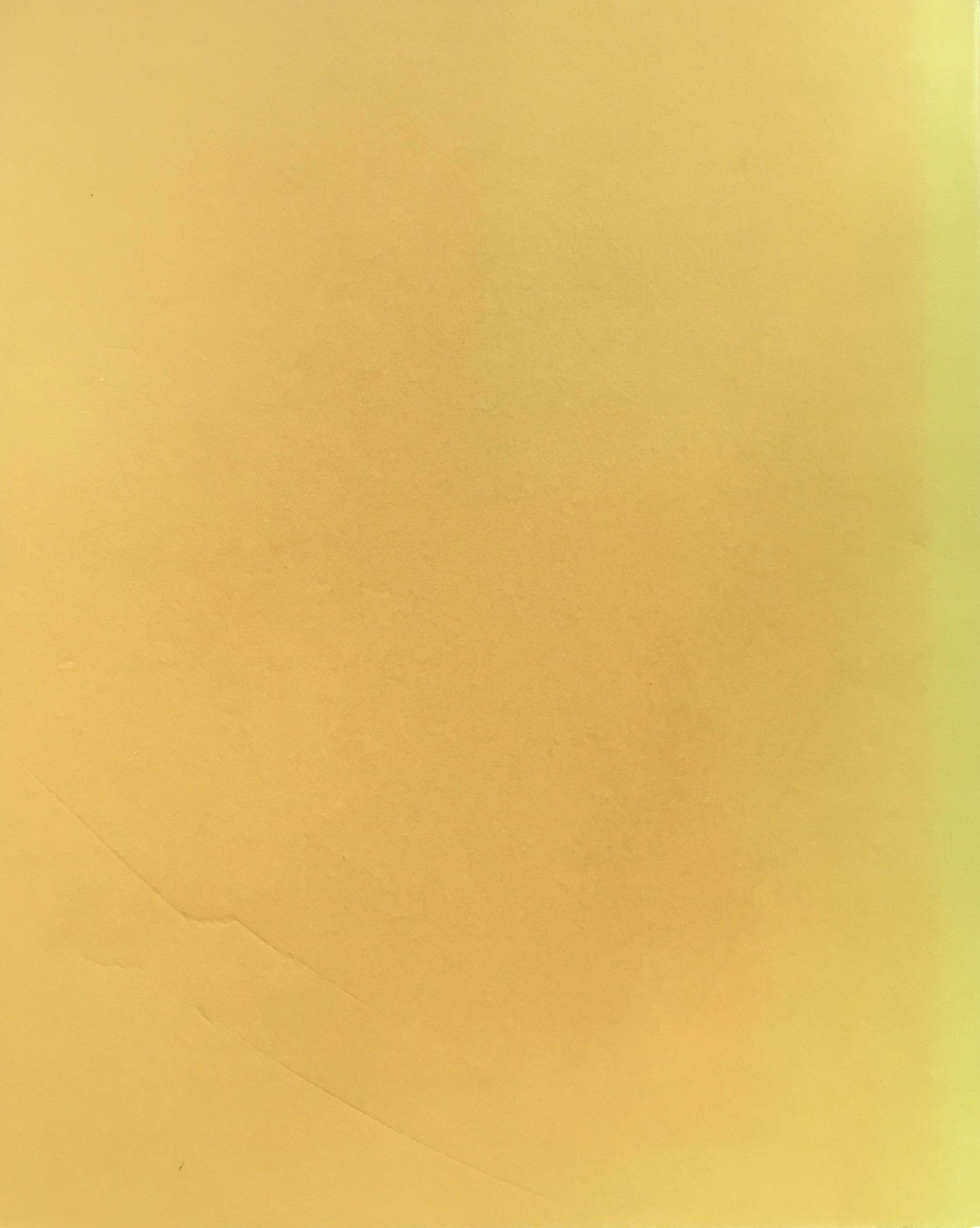 コレクション10年の歩み 芸術と素朴 開館10周年記念特別展