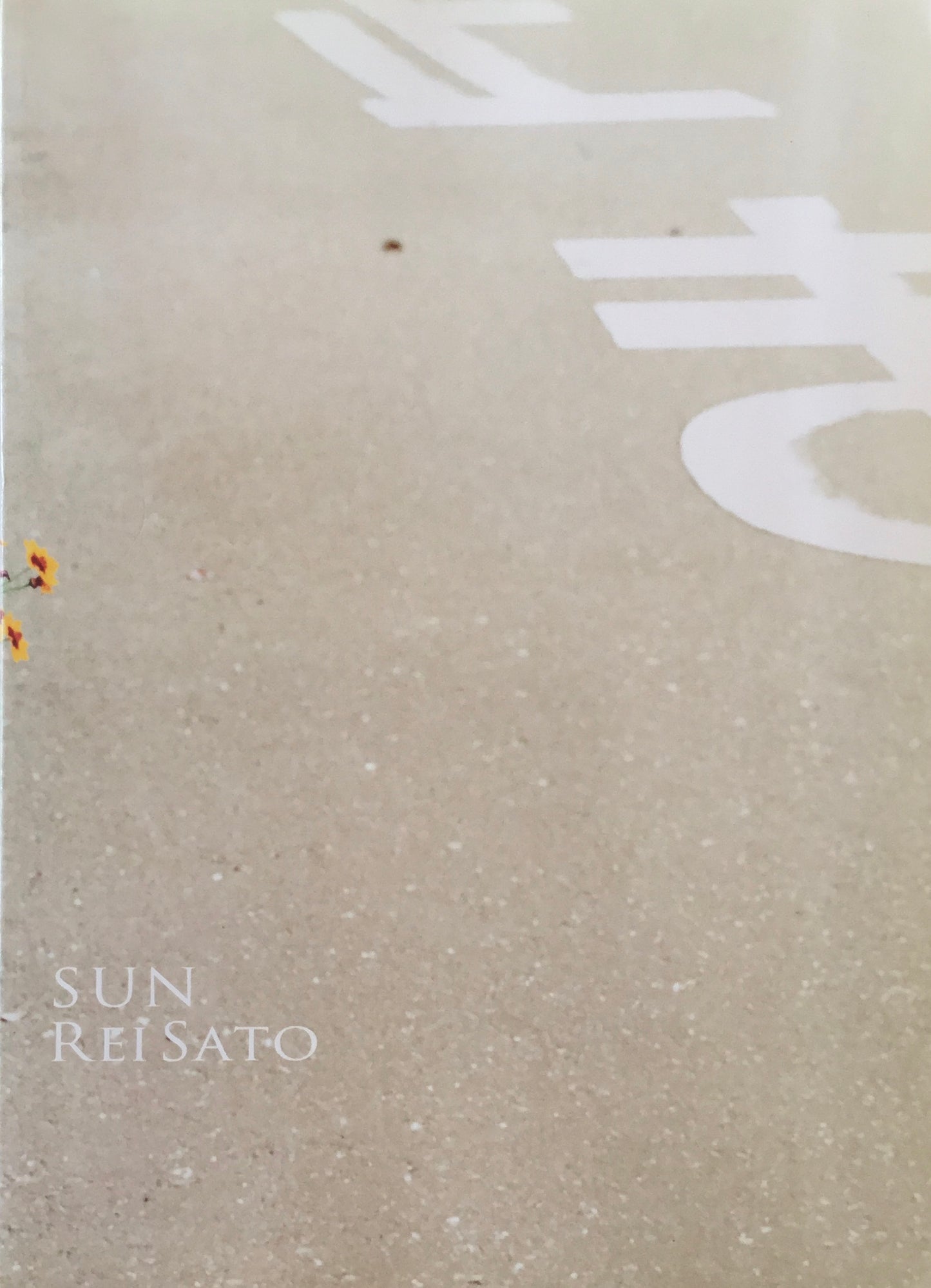 SUN REI SATO 佐藤玲写真集