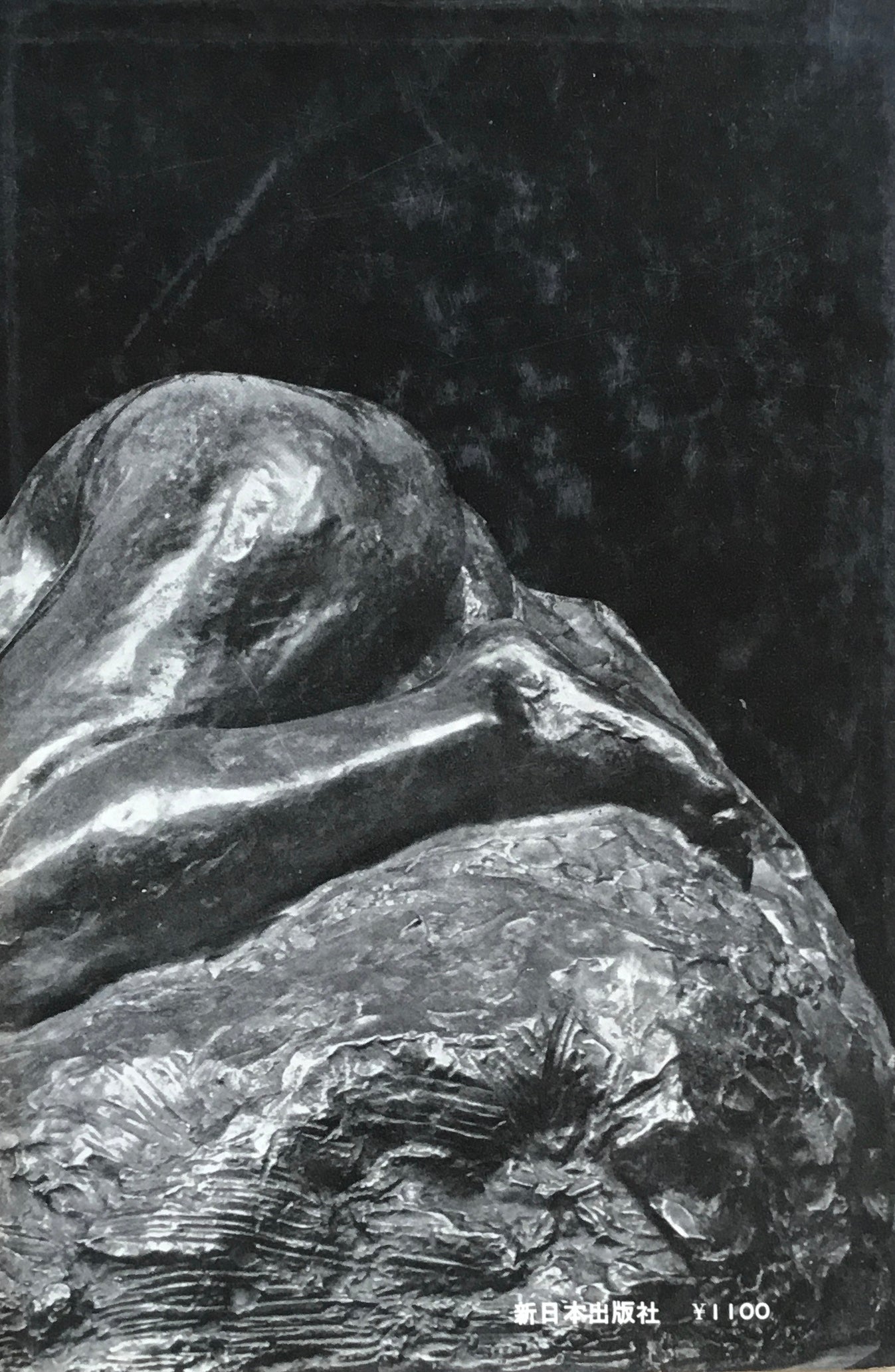 萩原守衛 忘れえぬ芸術家 林文雄