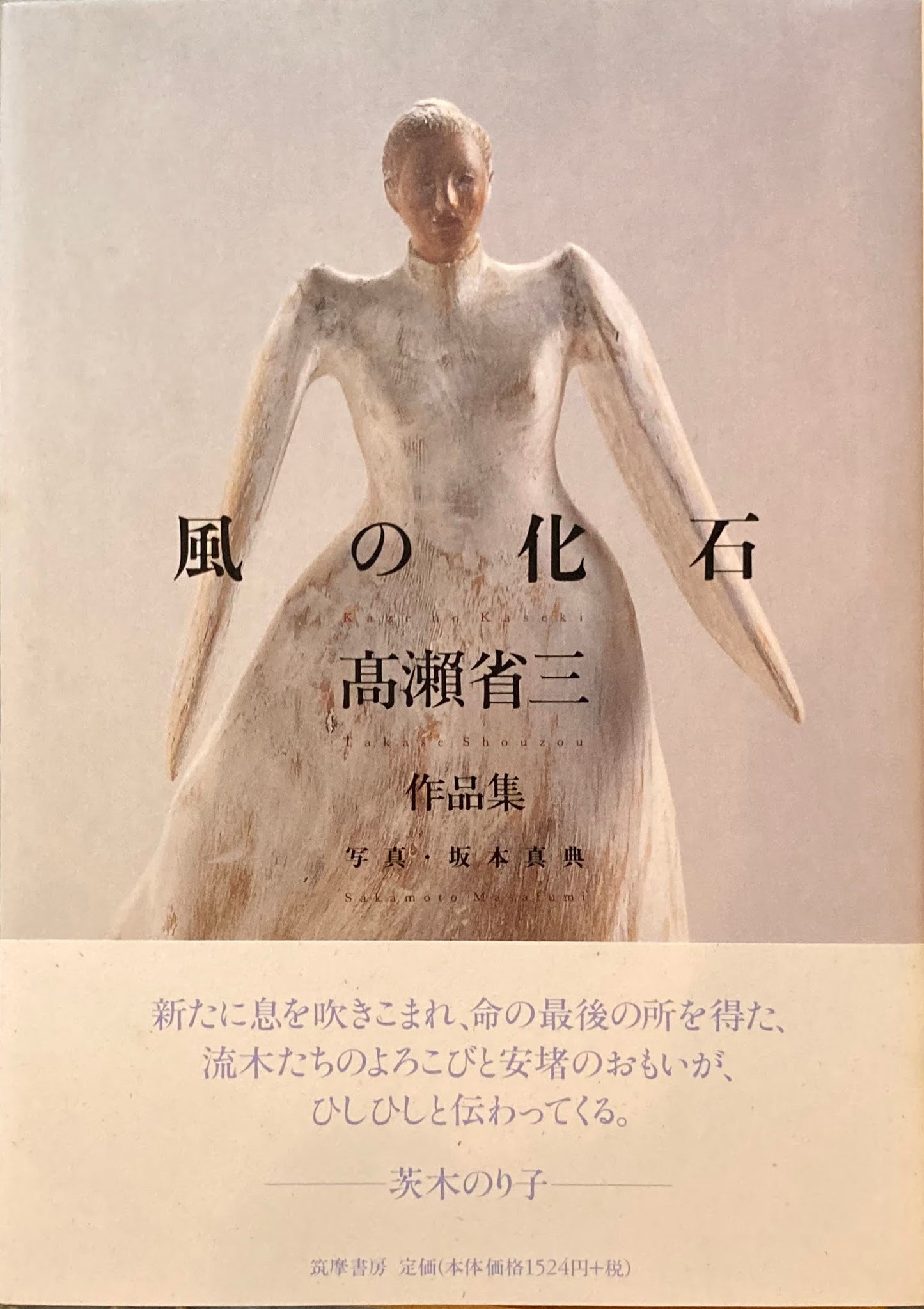 風の化石 高瀬省三作品集