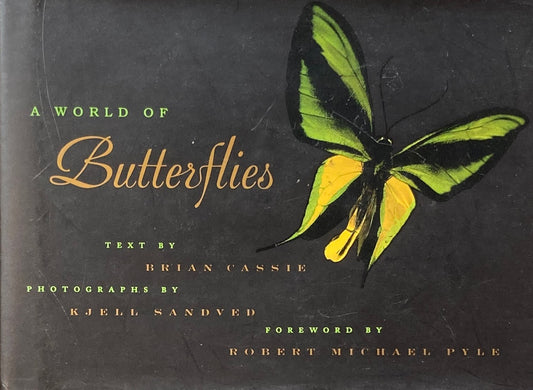 A World Of Butterflies Brian Cassie