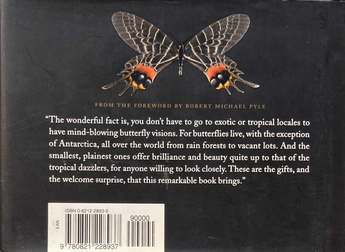 A World Of Butterflies Brian Cassie
