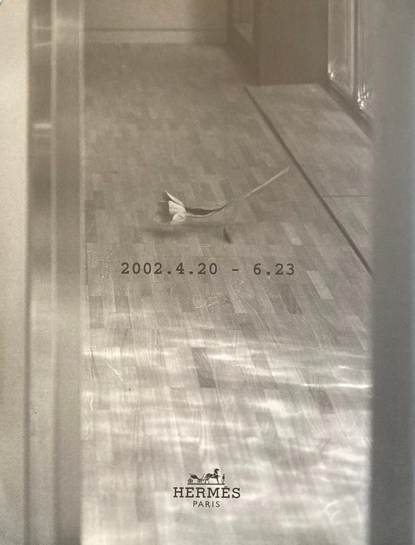 手の好き間 須田悦弘+中村哲也 メゾンエルメス