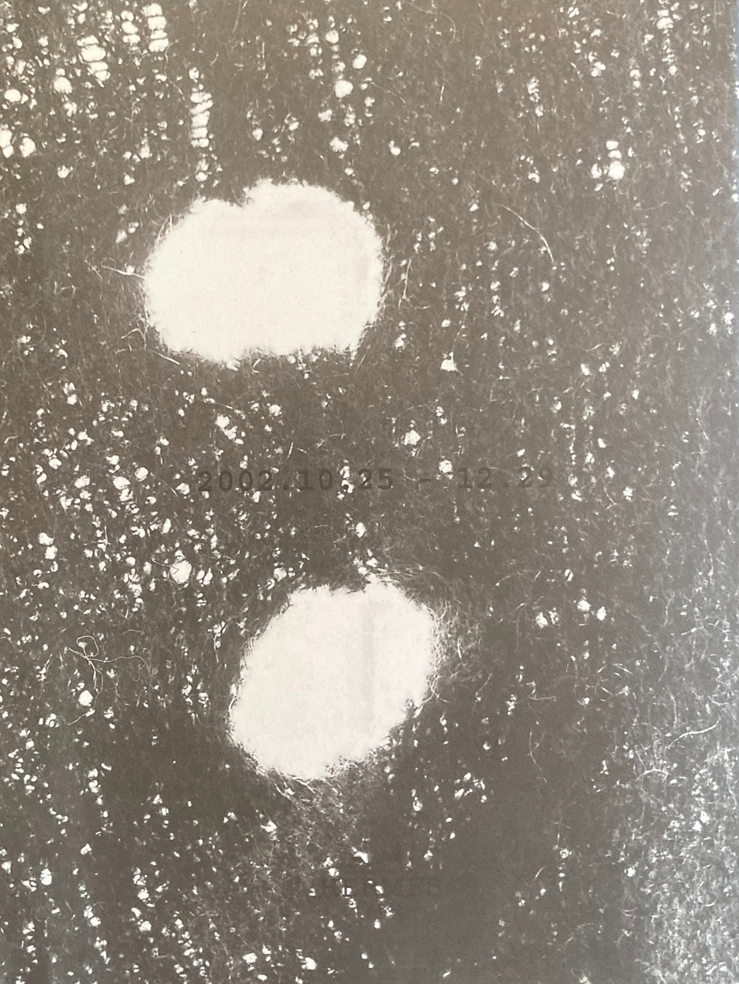 振動を宿すもの 眞田岳彦 メゾンエルメス