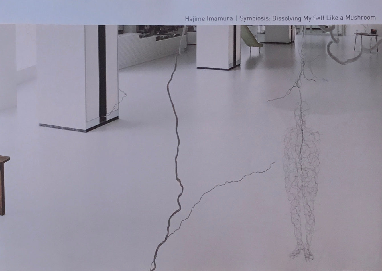 わた死としてのキノコ 今村源作品集 静岡市美術館