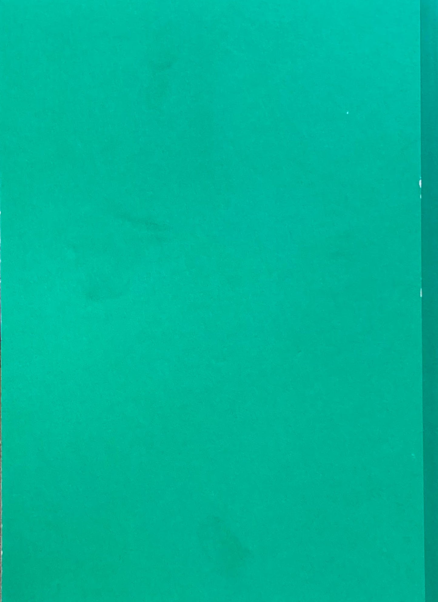 セゾン現代美術館コレクション選