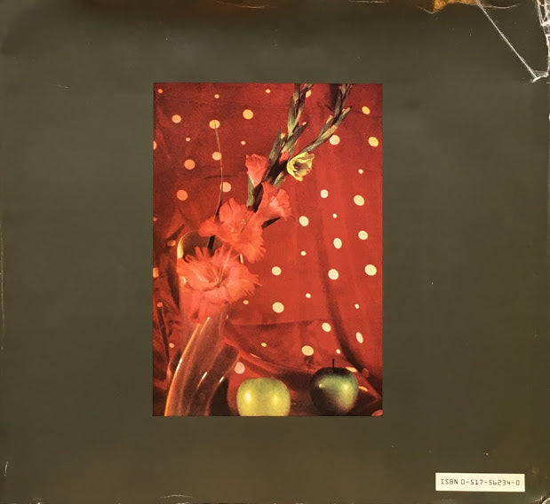 Objects of Desire Sheila Metzner シーラ・メッツナー写真集