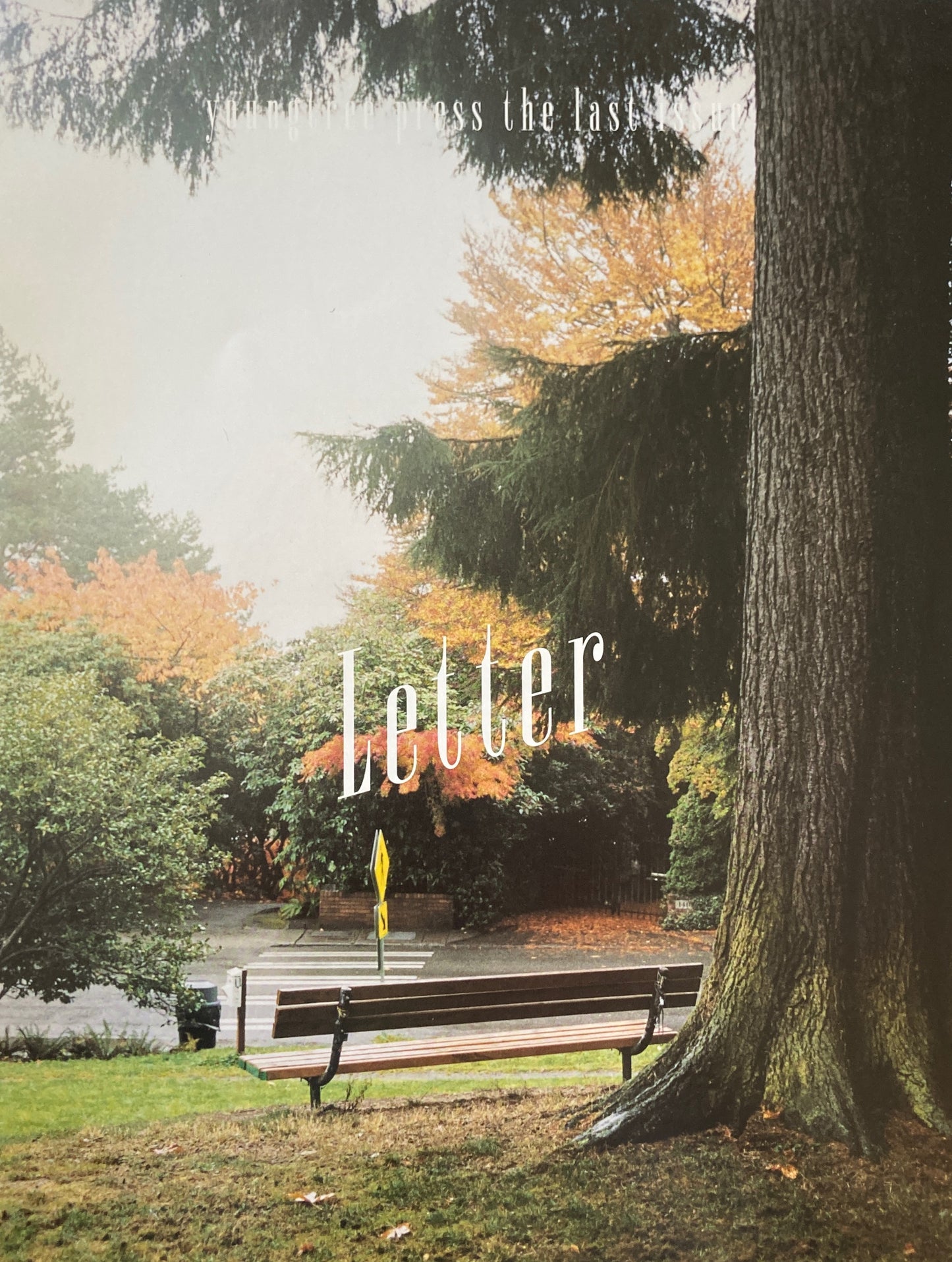 young tree press no.10 letter ヤングトゥリー・プレス