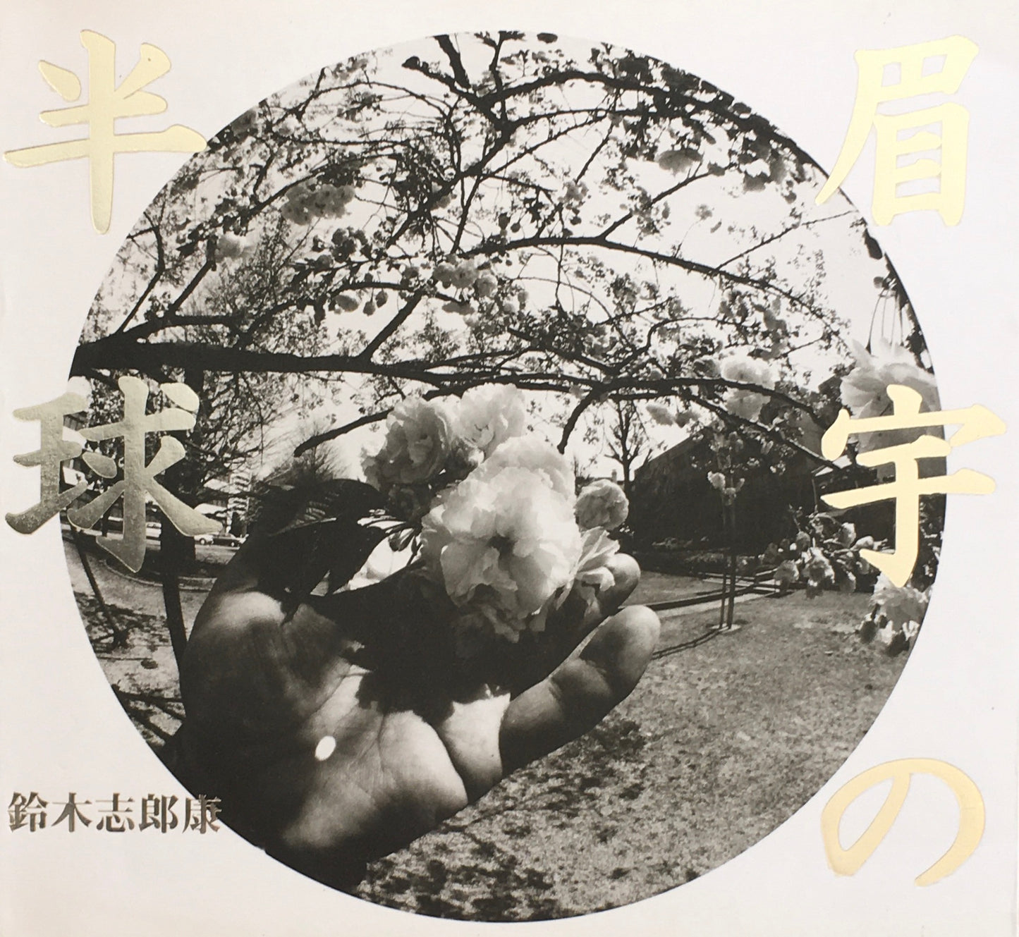 眉宇宙の半径 鈴木志郎康
