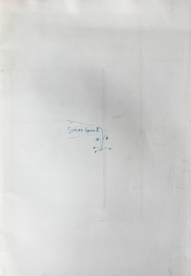 菫外国 第三号’87年夏 特集ーバンドネオンの豹ジャガー