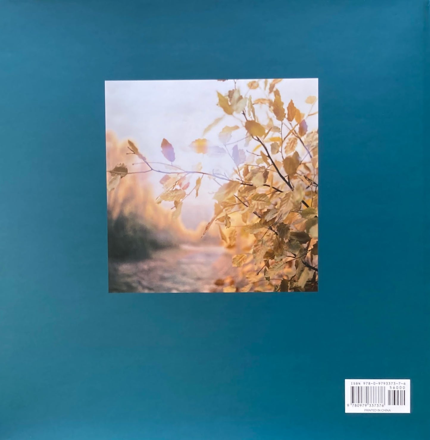 Elsewhere Nealy Blau ニアリー・ブラウ