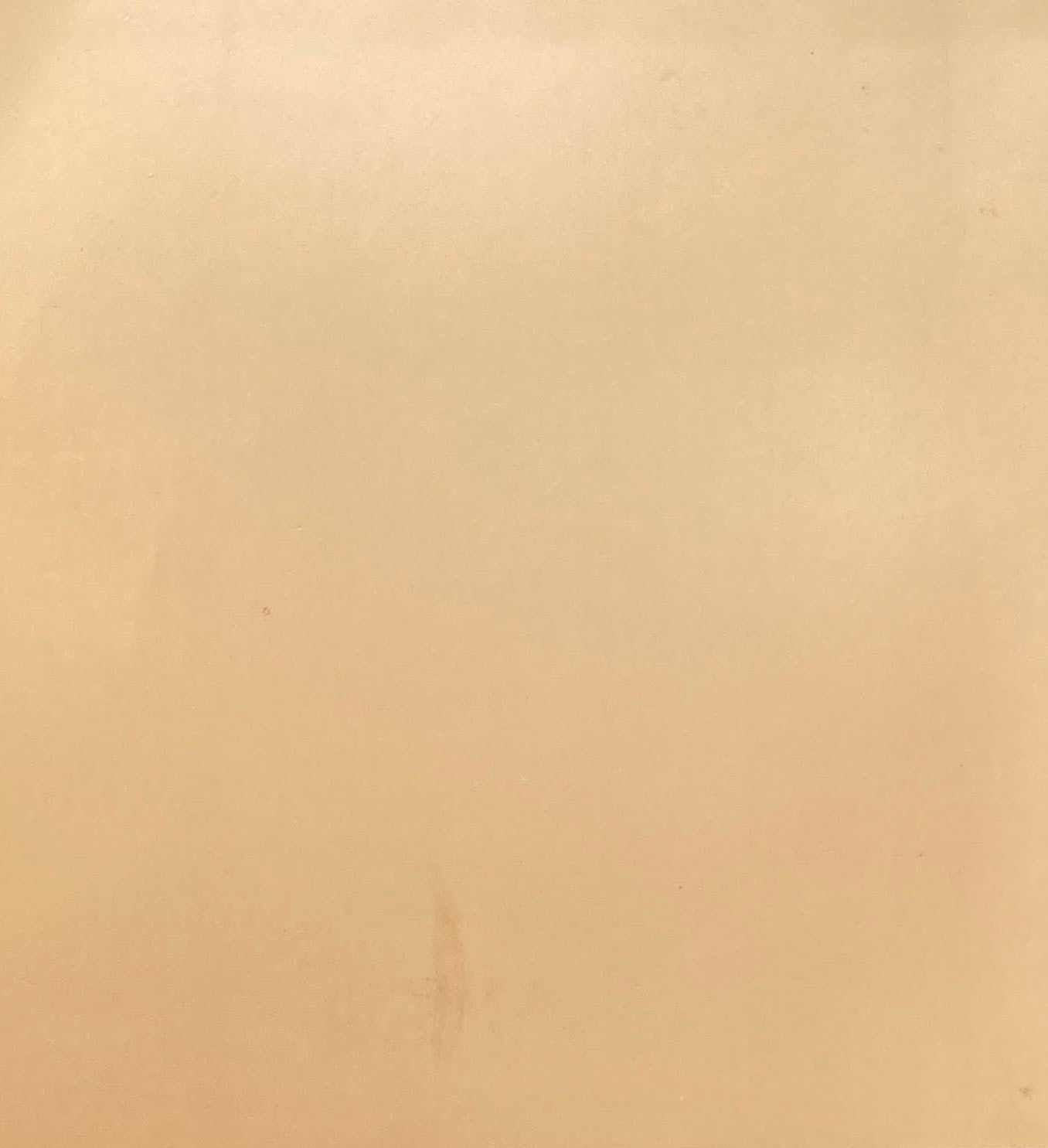 ジョルジュ・ビゴ―展 明治日本を生きたフランス人画家 1987