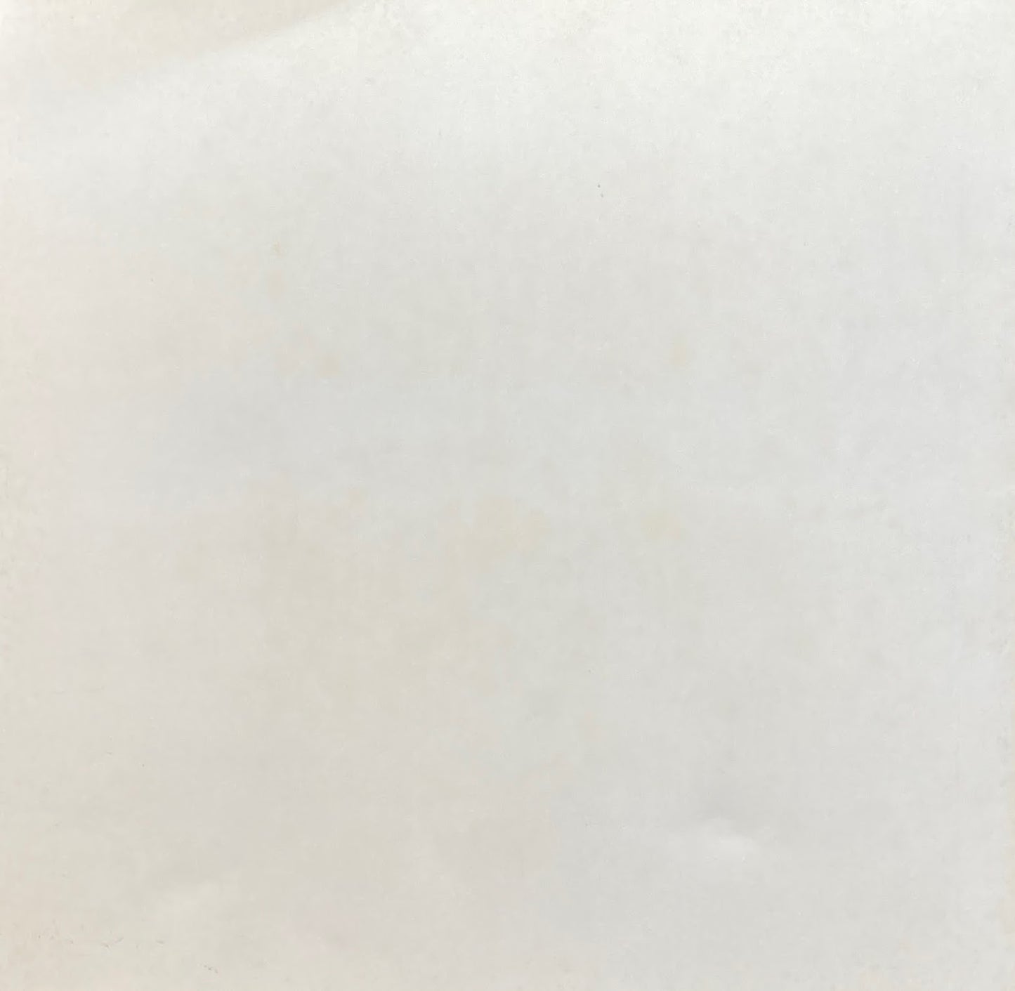 ヴァン・ドンゲン展 1978年