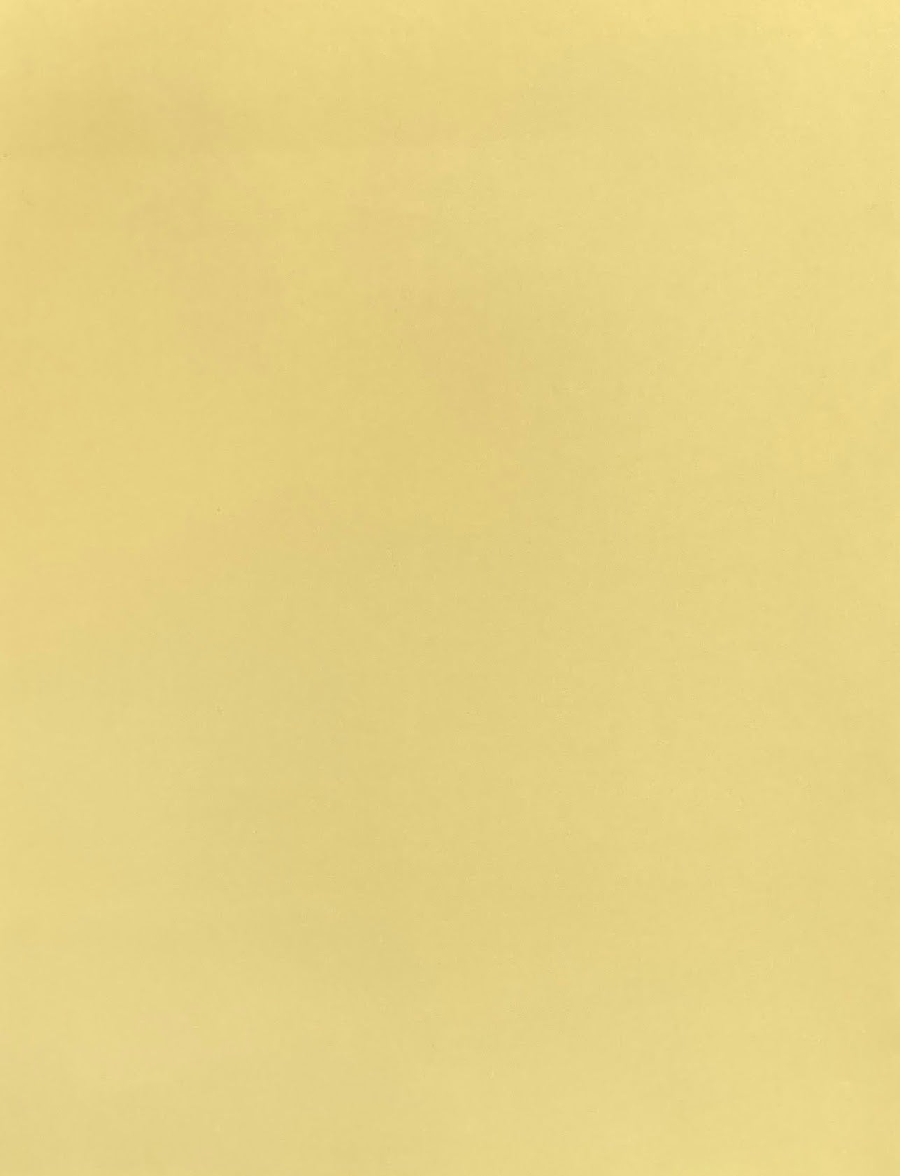 スタンラン展 1985年