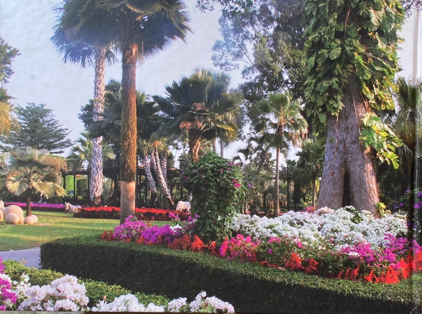 Nong Nooch Tropical Botanical Garden & Resort