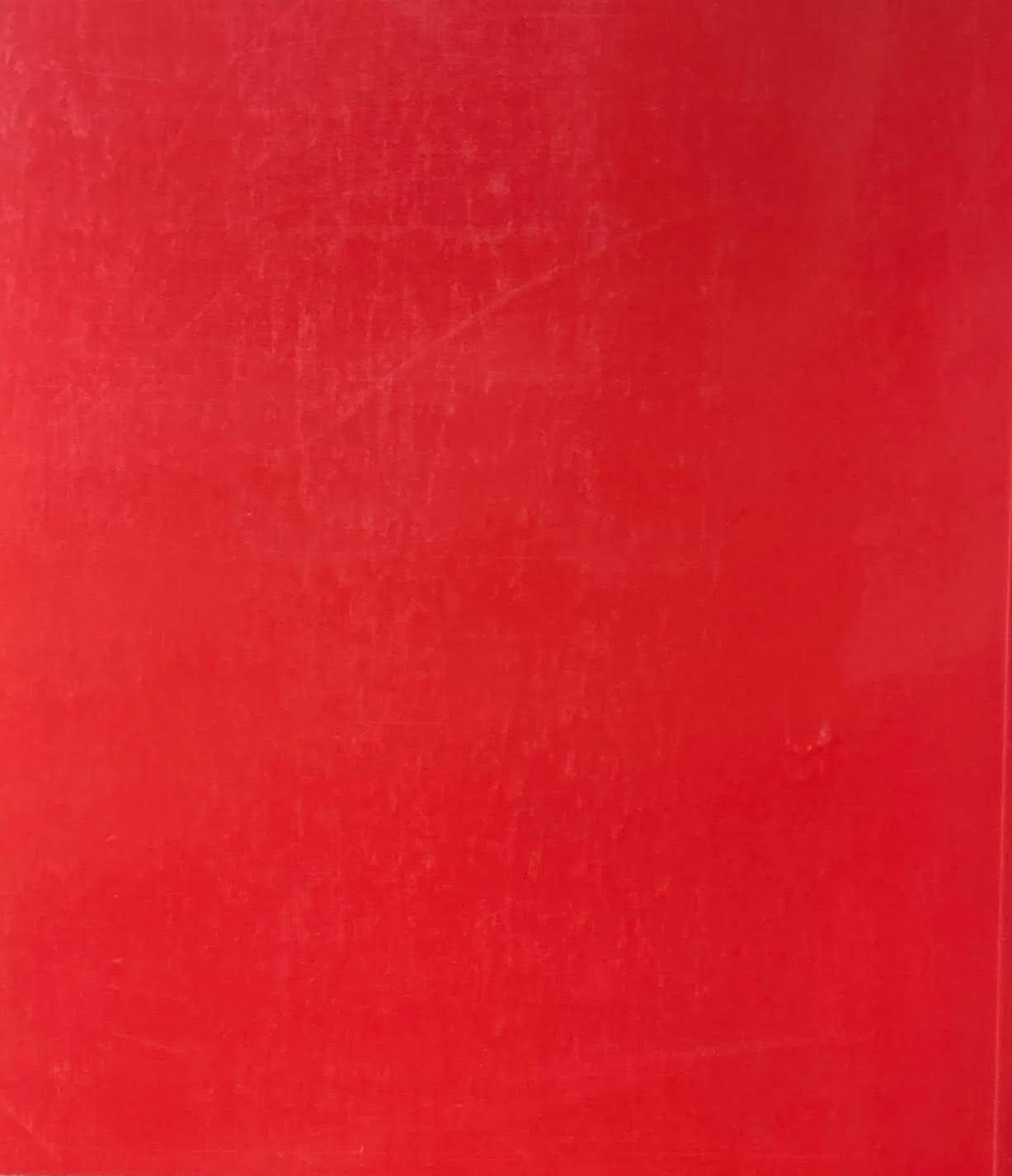 Paula Modersohn- Becker パウラ・モーダーゾーン=ベッカー 1997