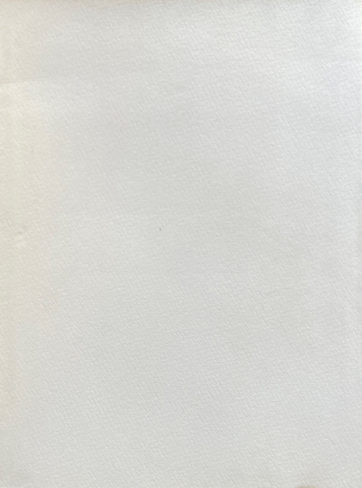 写真の印象派 R・ドマシ― C・ピュヨー 展 小田急グランドギャラリー