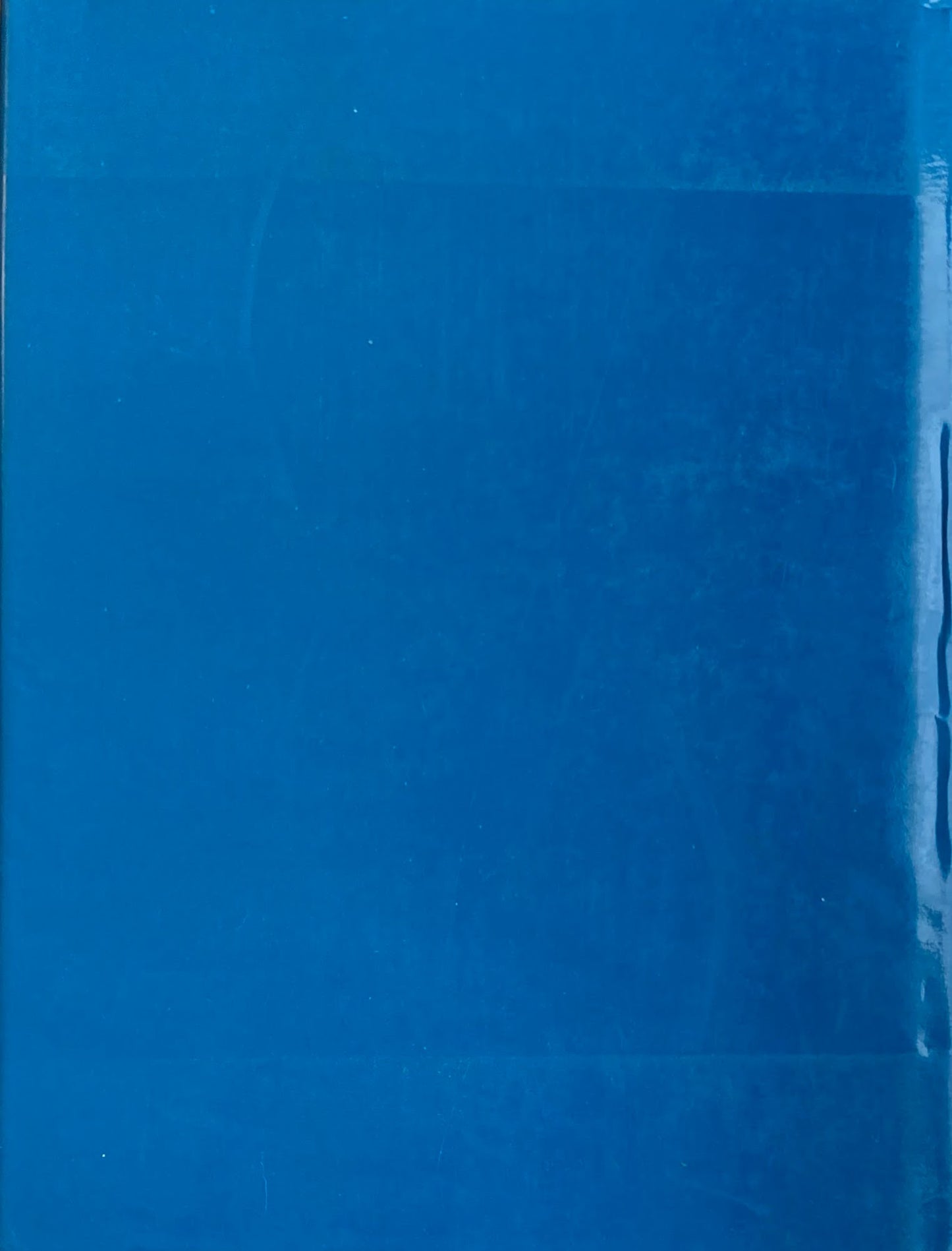 Splendid Legacy The Havemeyer Collection