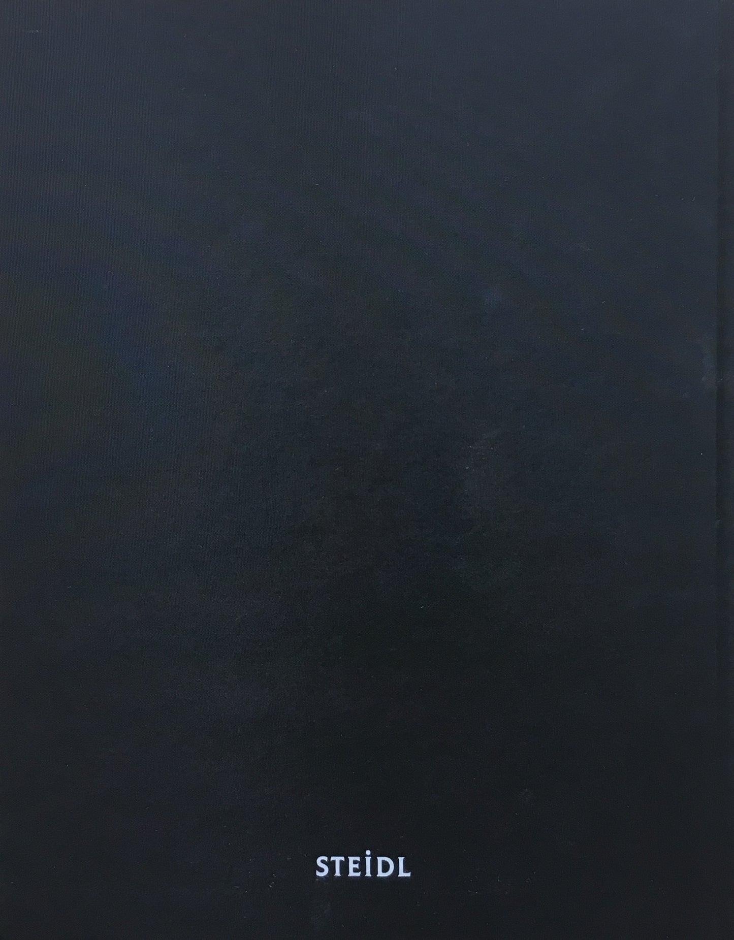 Paris William Eggleston ウィリアム・エグルストン