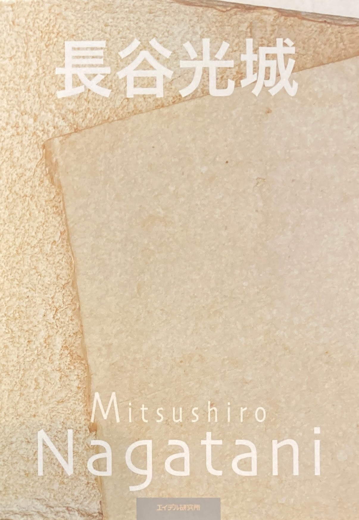 長谷光城 Mitsushiro Nagatani エイデル研究所