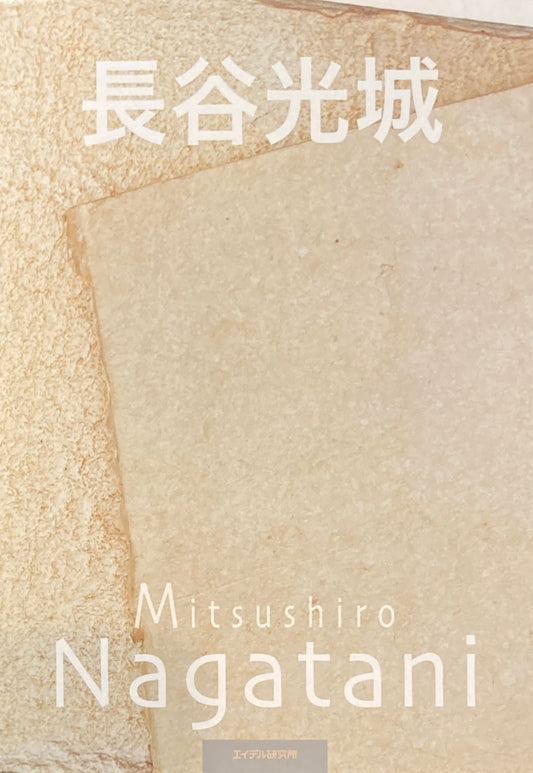 長谷光城 Mitsushiro Nagatani エイデル研究所