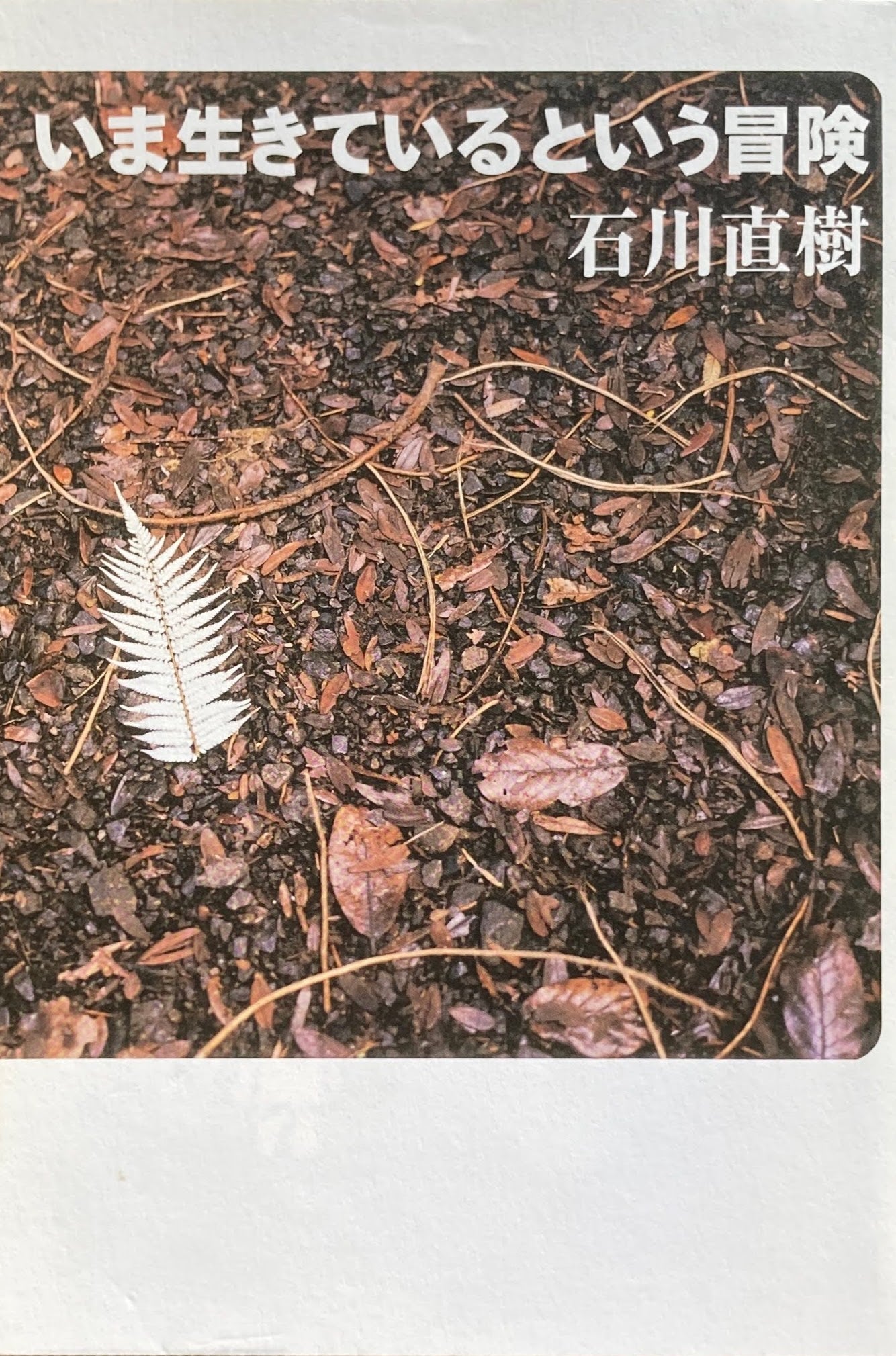 いま生きているという冒険 石川直樹
