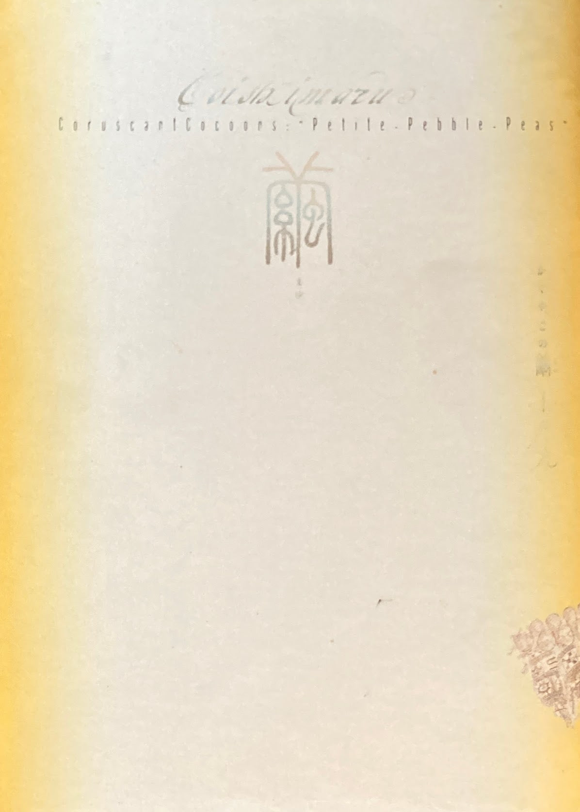 よみがえった幻の繭。かぐや、この繭。「小石丸」展