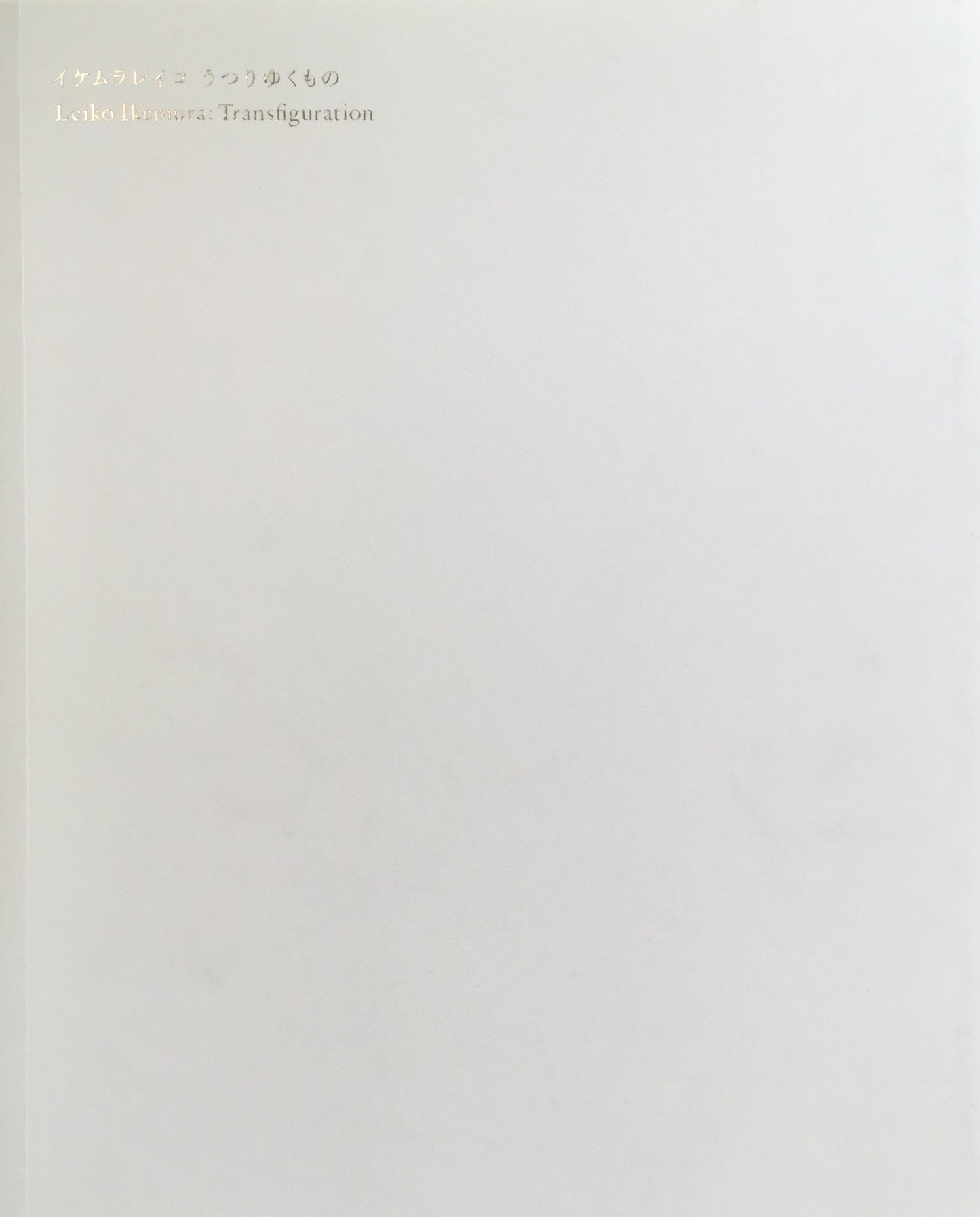 イケムラレイコ うつりゆくもの