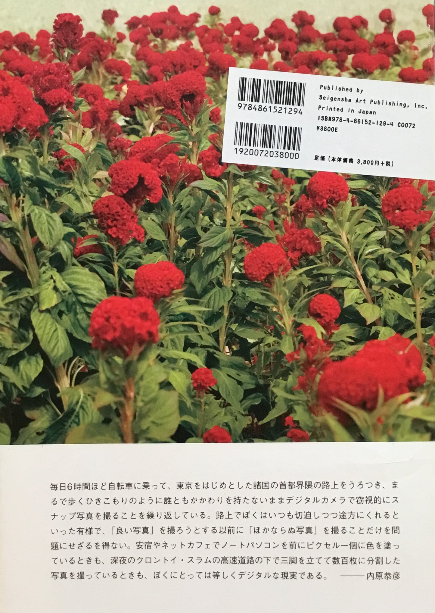 Son of a BIT 内原泰彦写真集