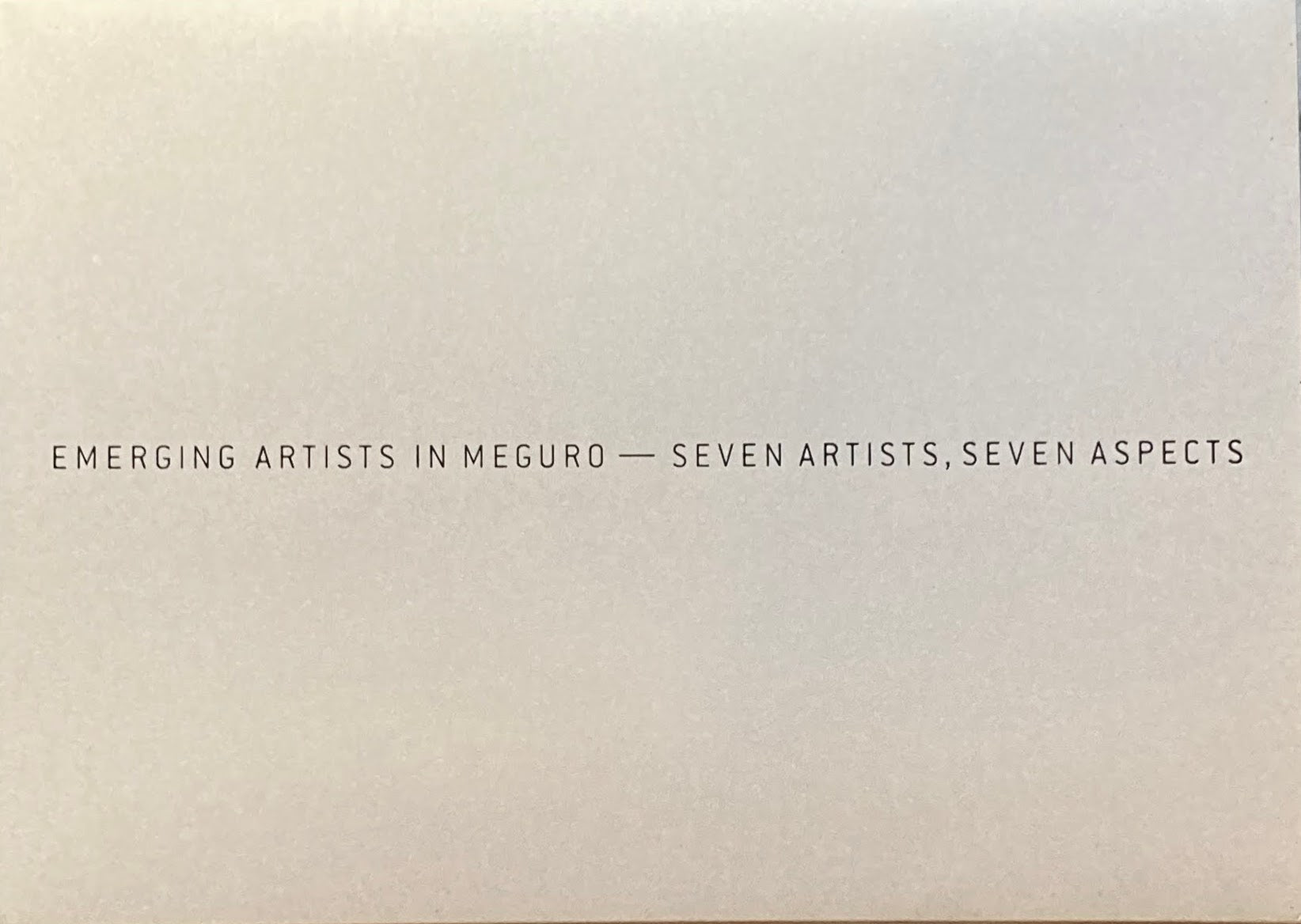 目黒の新進作家 七人の作家、7つの表現 2007年 目黒区美術館