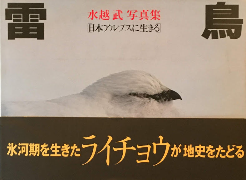 雷鳥 水越武写真集 日本アルプスに生きる
