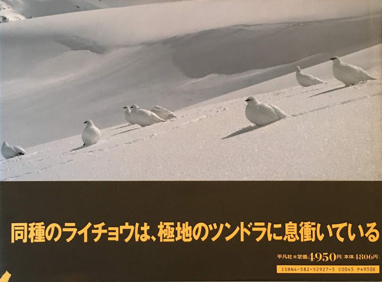 雷鳥 水越武写真集 日本アルプスに生きる