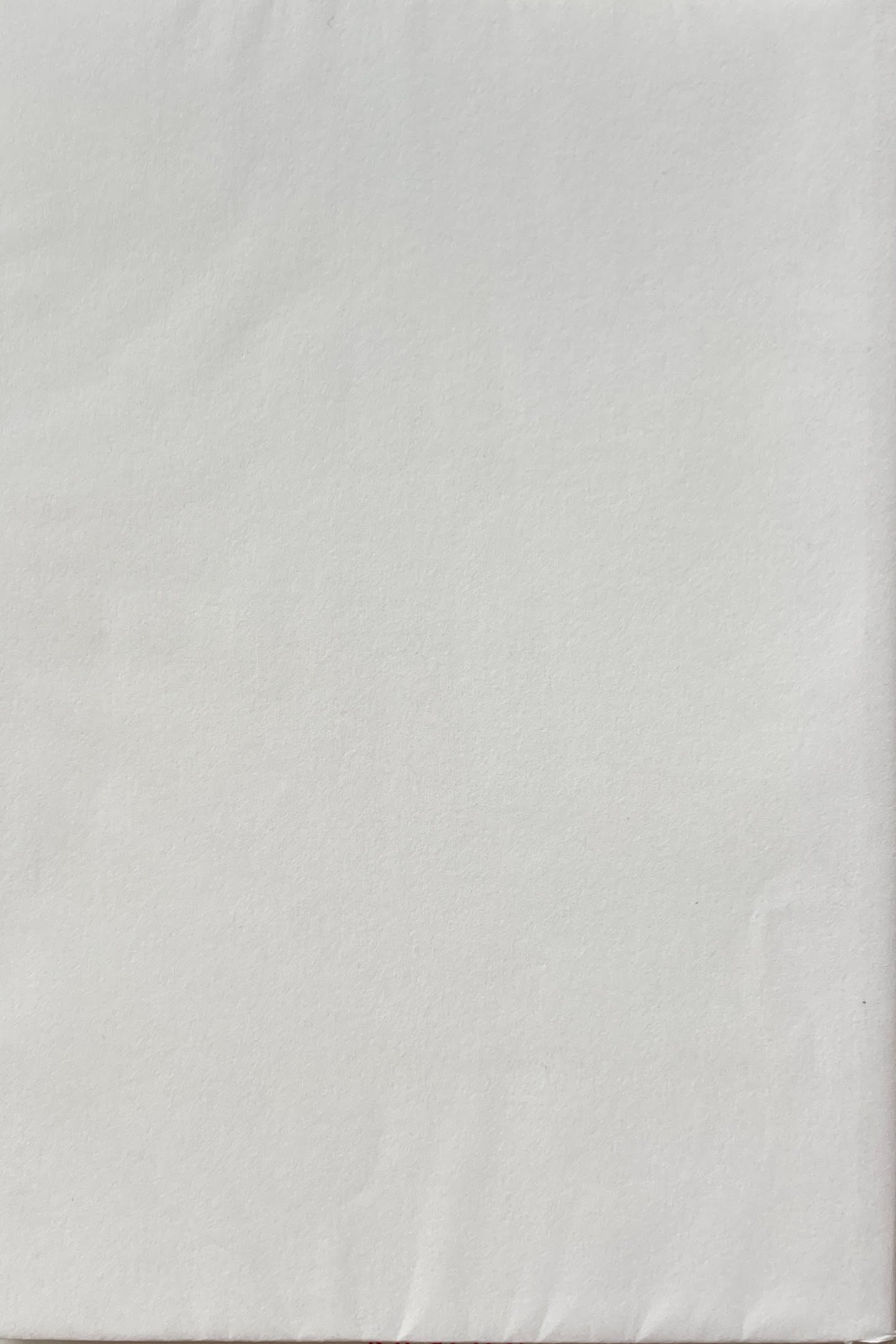 MAGNETICS Michaël Borremans ミヒャエル・ボレマンス