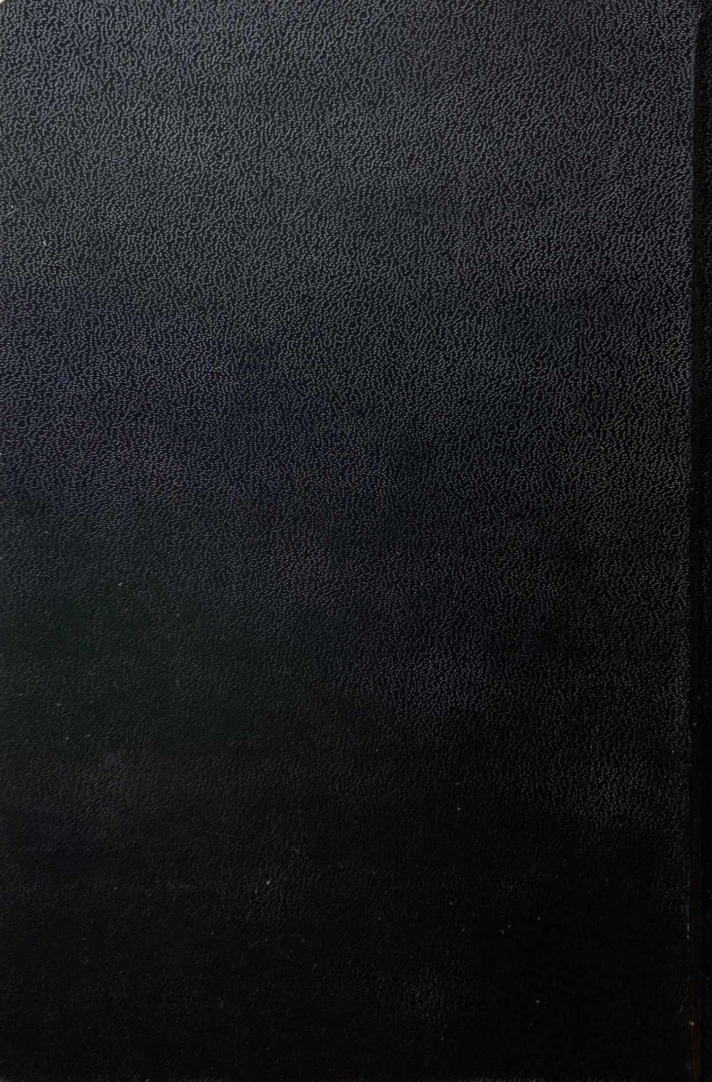 THE DUCK Michaël Borremans ミヒャエル・ボレマンス