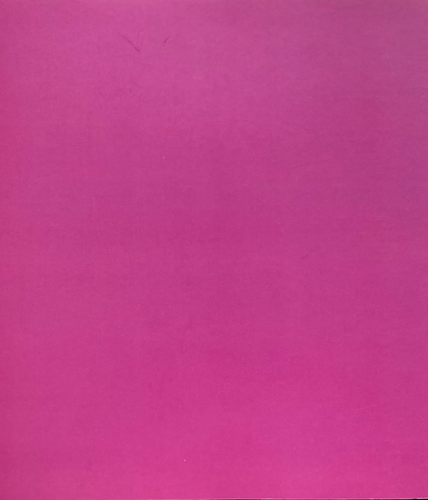 東奥の光 ルーマニア近代絵画の巨匠たち展 1995年