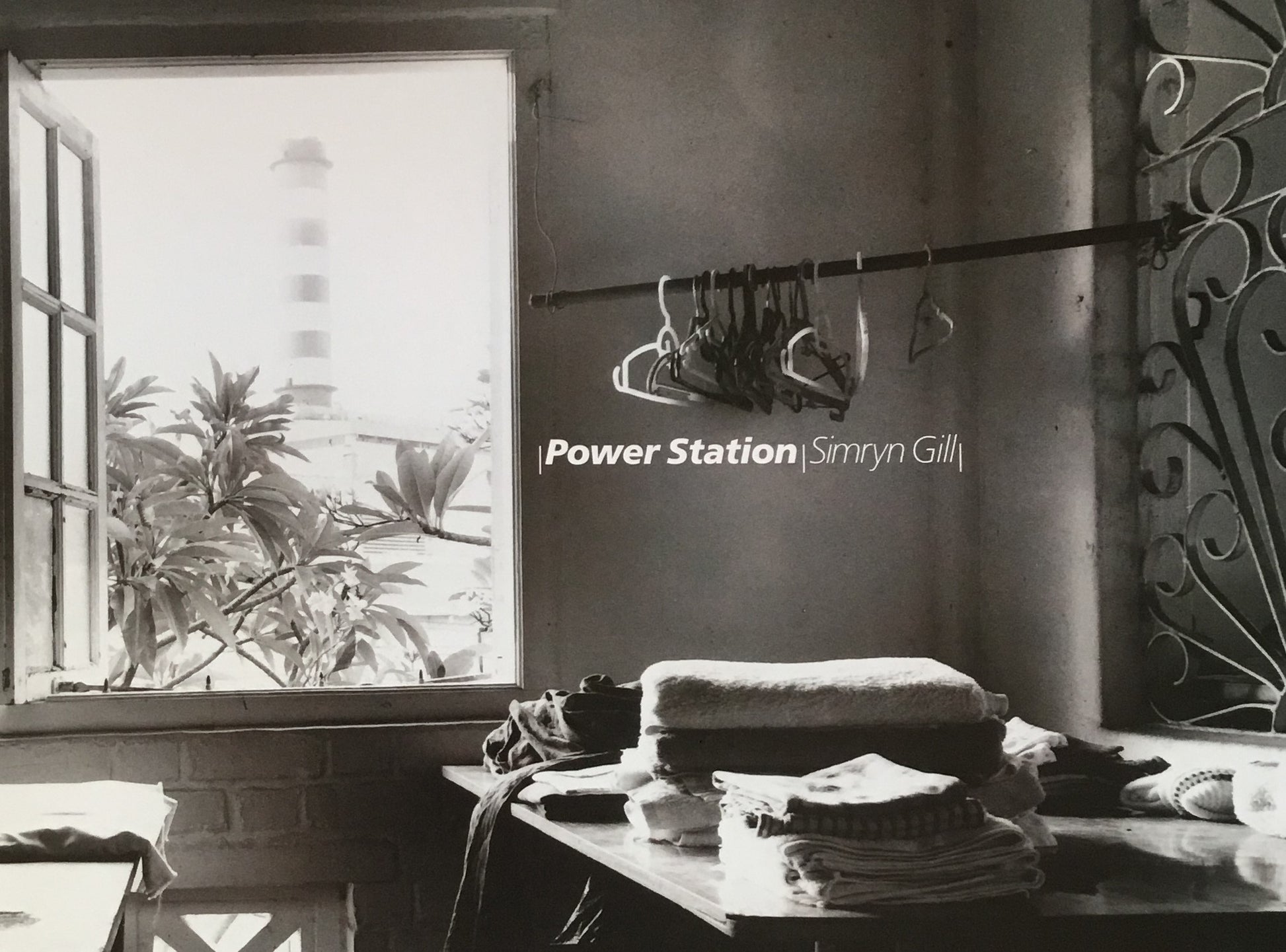 Power Station Simryn Gill シムリン・ギル展 資生堂ギャラリー