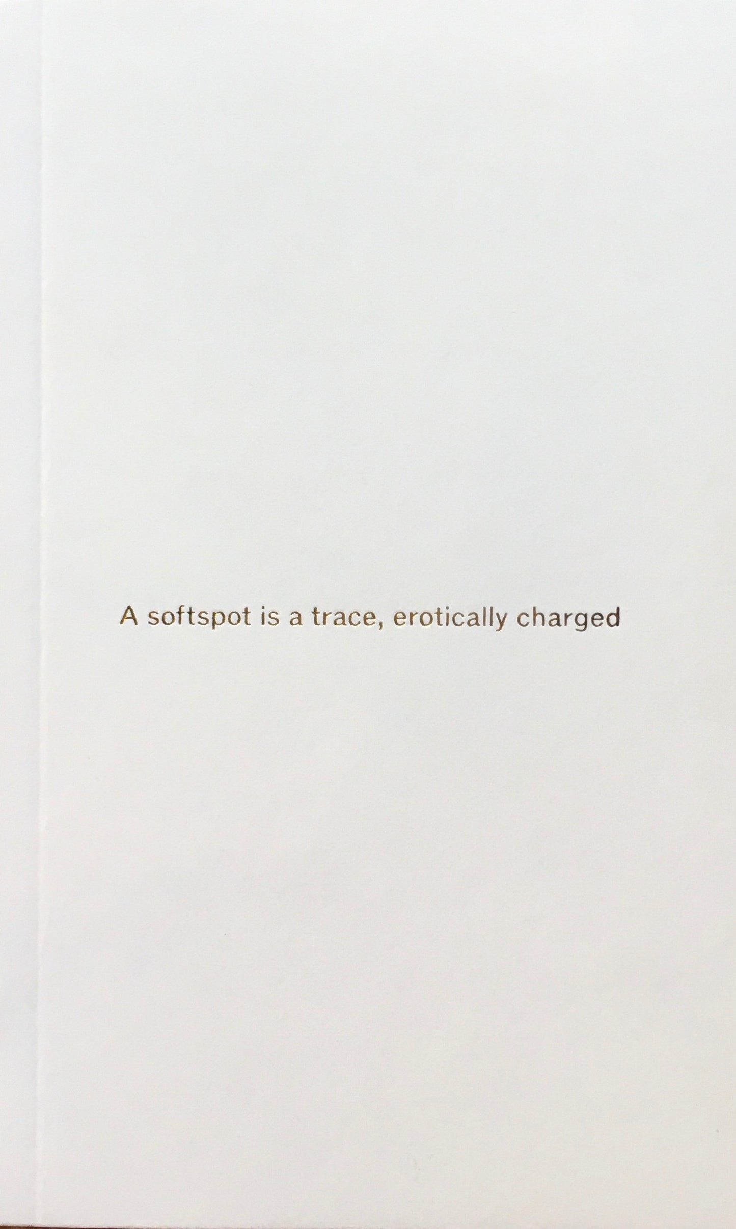 SOFTSPOT A CONTAINER FOR THE NEAR AND CLOSE James Taylor-Foster OK-RM