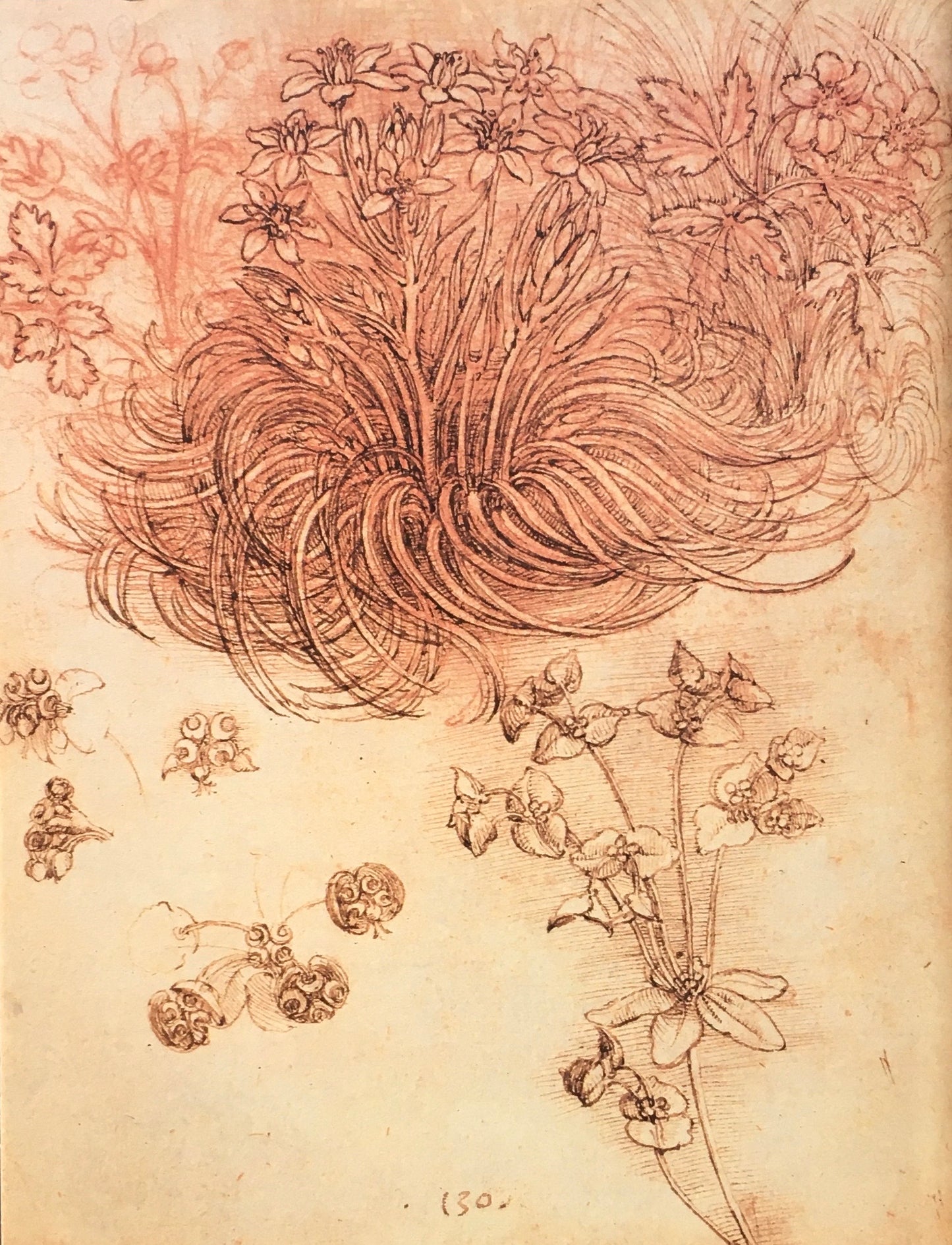 レオナルド・ダ・ビンチ素描集 ウィンザー城王室図書館蔵 1985