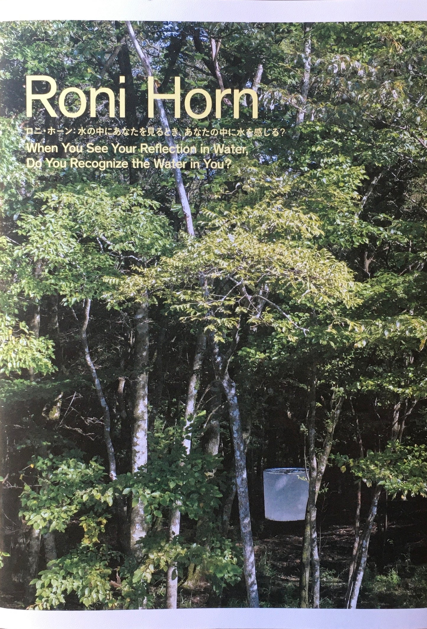 ロニ・ホーン 水の中にあなたを見るとき、あなたの中に水を感じる?