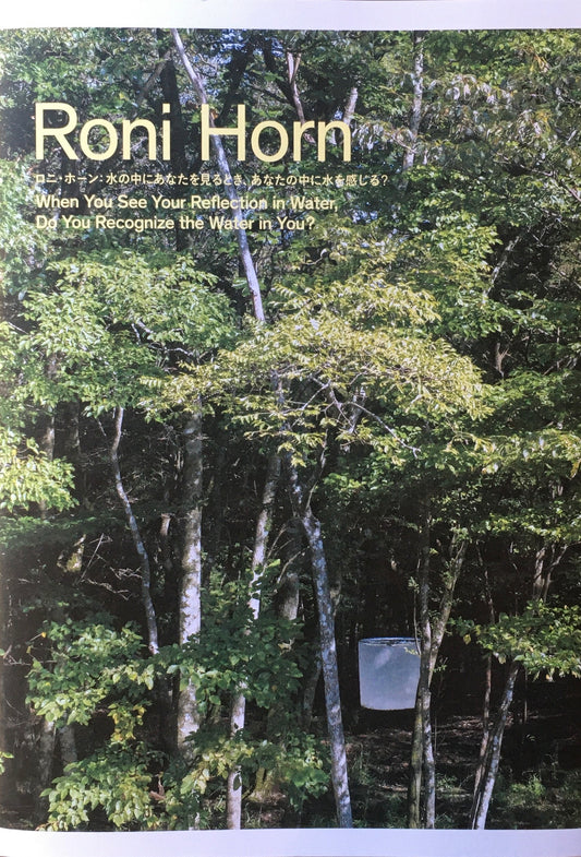 ロニ・ホーン 水の中にあなたを見るとき、あなたの中に水を感じる?