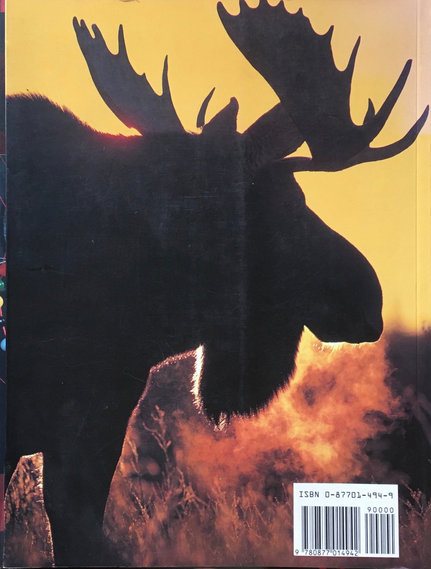 MOOSE Michio Hoshino 星野道夫写真集