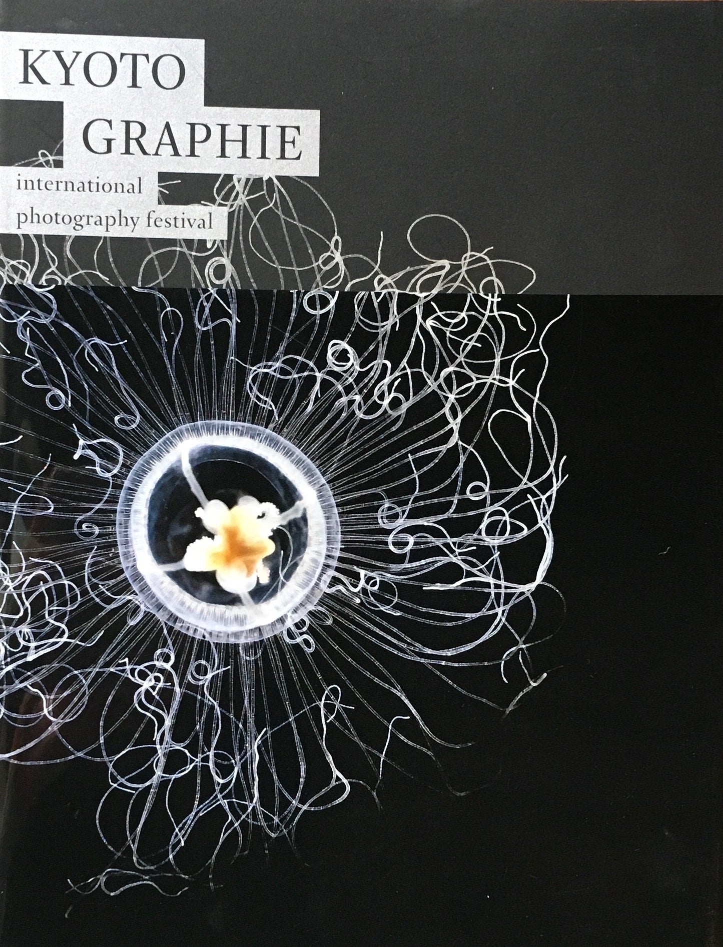 KYOTO GRAPHIE 2016 Circle of Life いのちの環