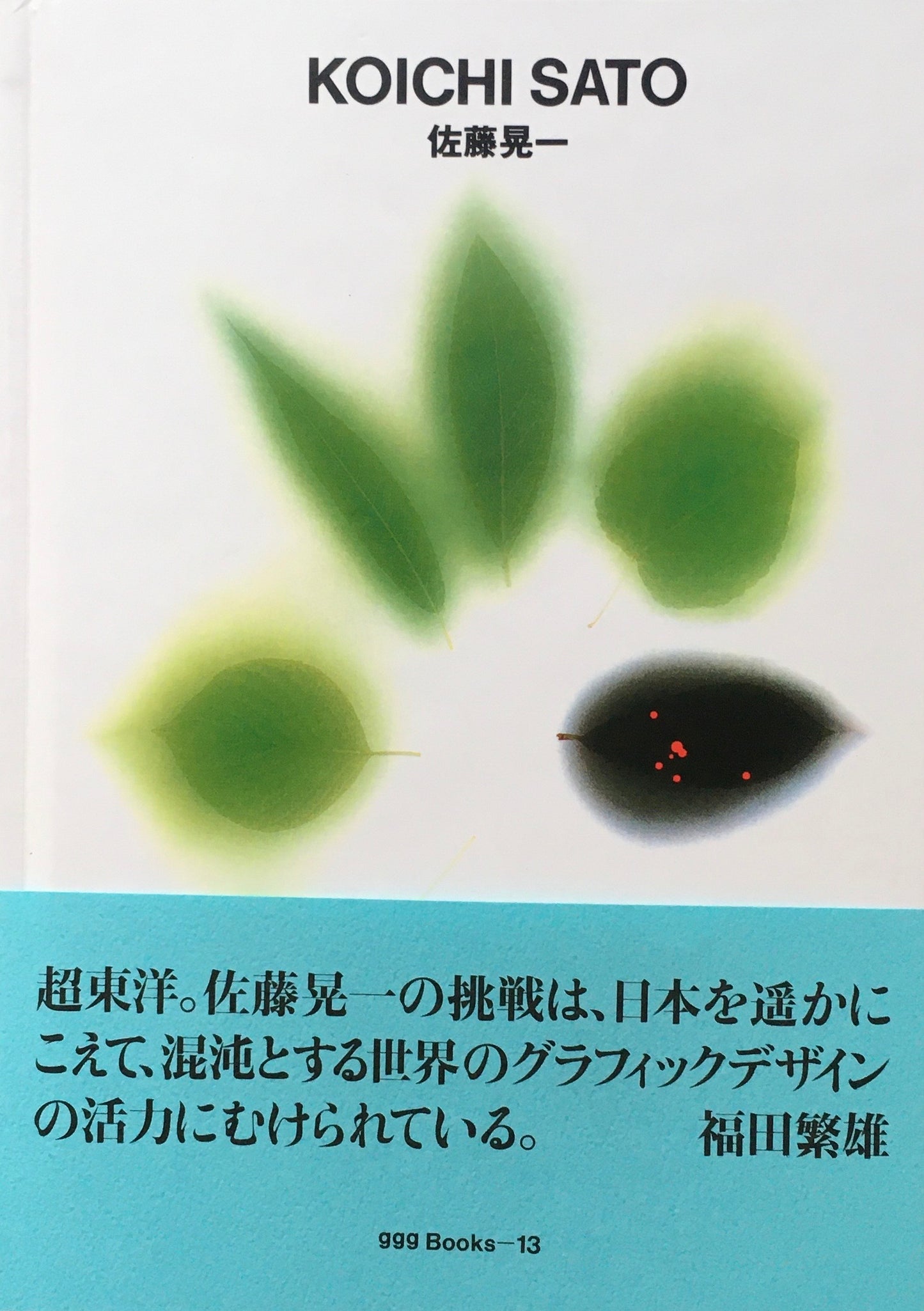 佐藤晃一 KOICHI SATO ggg Books 13
