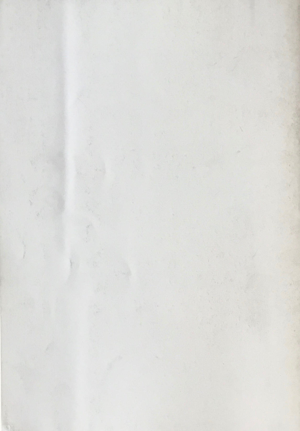 大宮政郎 奇形の化石 ギャラリー福山