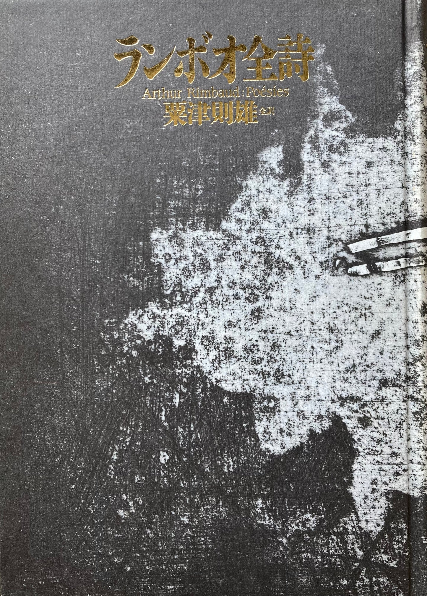 ランボオ全詩 粟津則雄 1995年改訳新装版