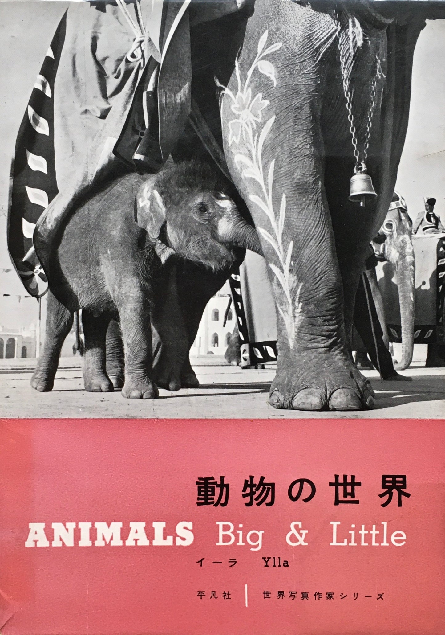 動物の世界 イーラ ANIMALS Big&Little 世界写真作家シリーズ