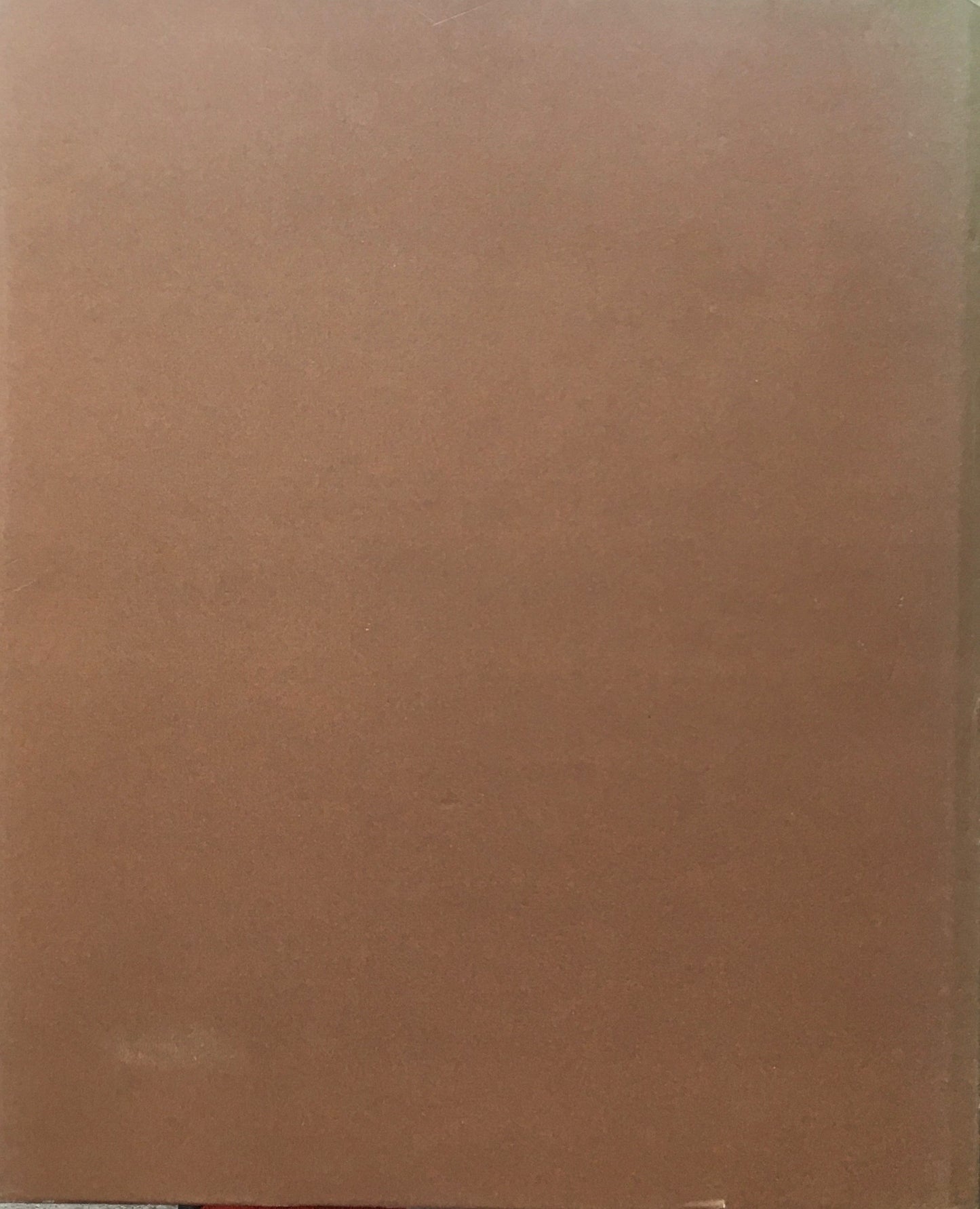 STEICHEN MEISTERPHOTOGRAPHIEN 1895‐1914