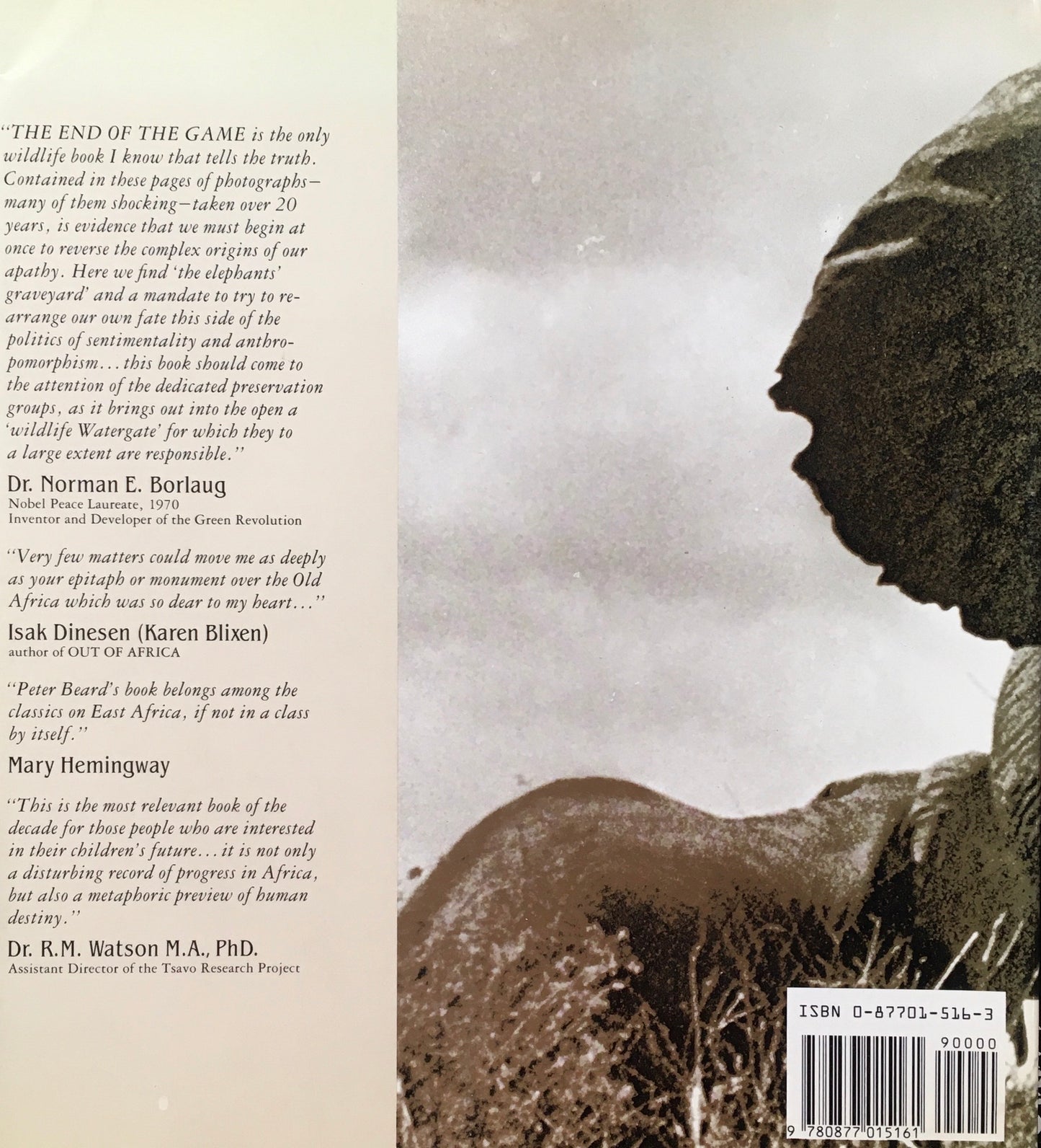 THE END OF THE GAME PETER BEARD