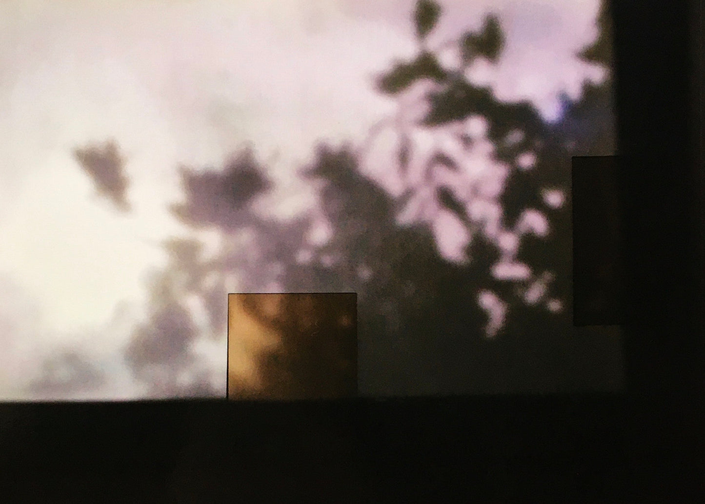 'We used to be more sensitive.' Lee Kit リー・キット 僕らはもっと繊細だった